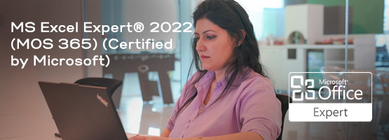 Ms Excel Expert® 2022 (Mos 365)